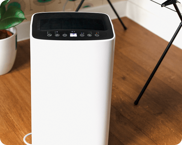 A white dehumidifiers