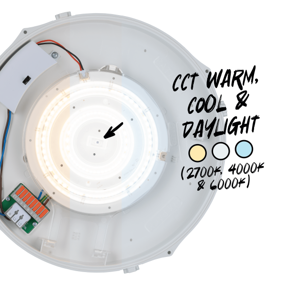 TCP IP65 Emergency and Microwave Sensor Bulkhead Light, Wattage and CCT Switchable - Image 2