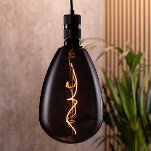 A black twist decorative bulb hanging in a sitting room with a plant behind it