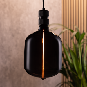 A black vertical decorative bulb hanging in the sitting room close to a house plant