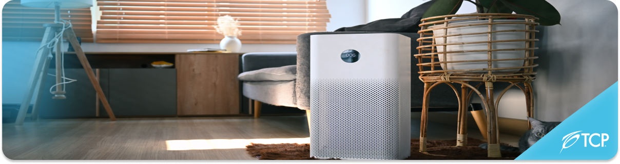 How do dehumidifiers work? Learn everything you need to know 