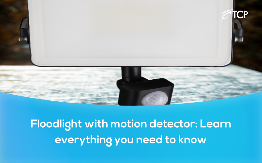 Floodlight with motion detector